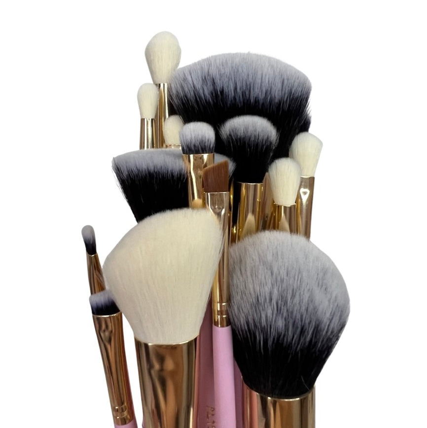 Cotton Pink Complete Brush Set